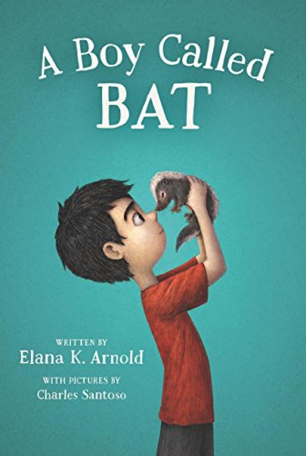 Boy Called Bat,A