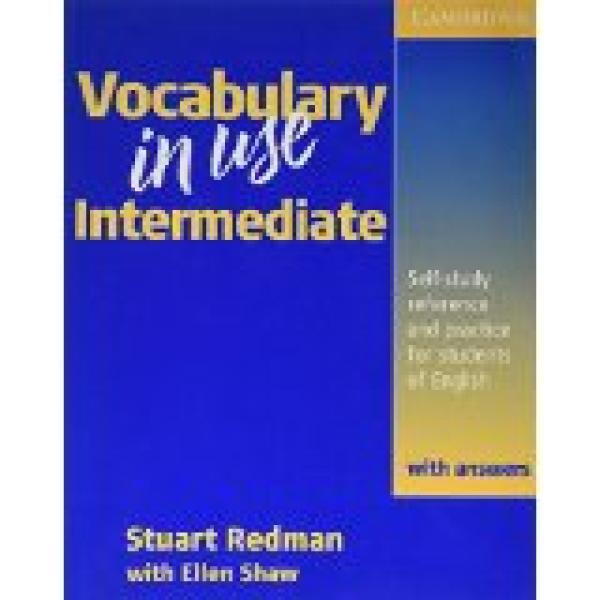 Vocabulary in Use: Intermediate