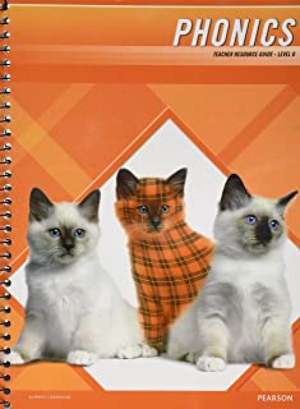 MCP Plaid Phonics 2011 Level D TRG