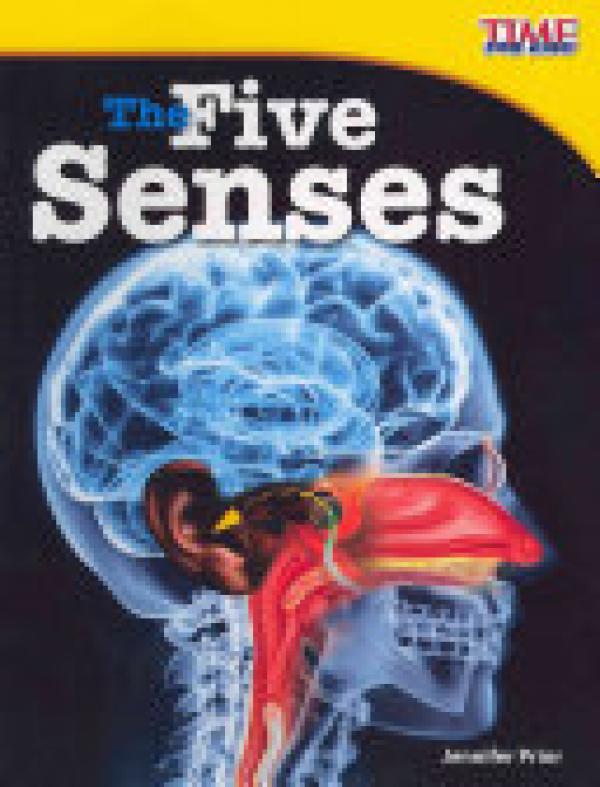 Five Senses,The