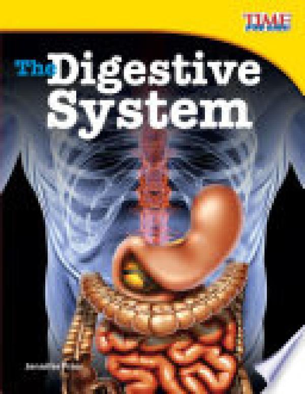 Digestive System,The