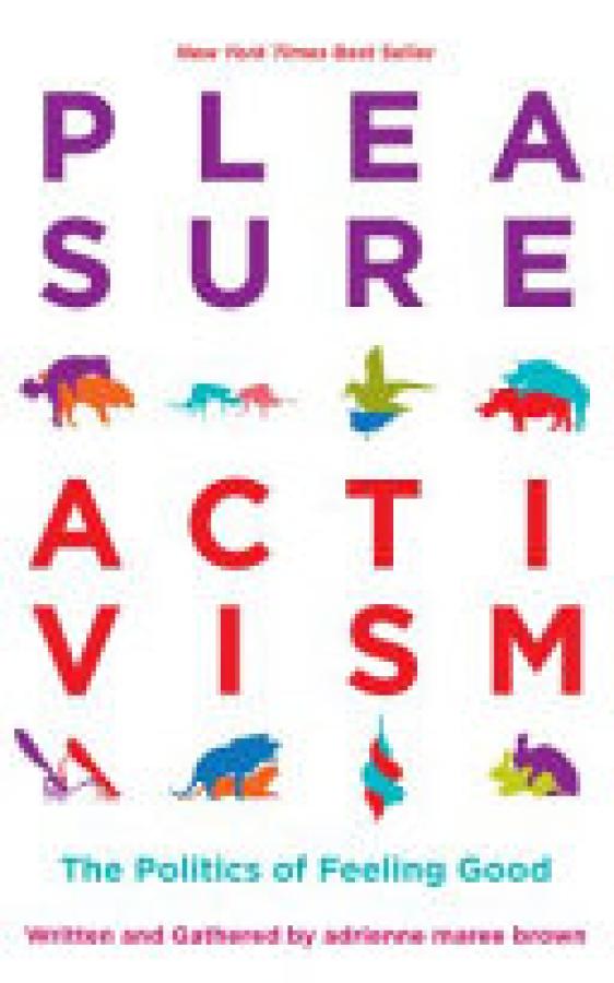 Pleasure Activism: The Politics of Feeli