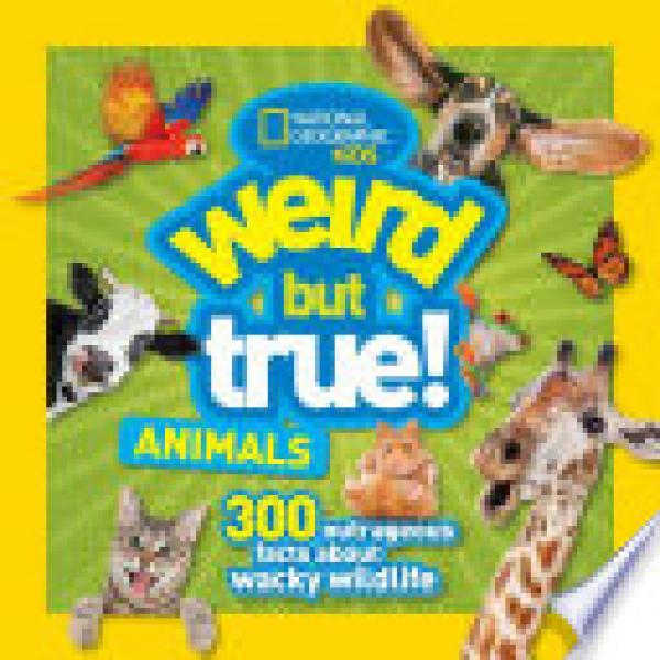 Weird But True Animals