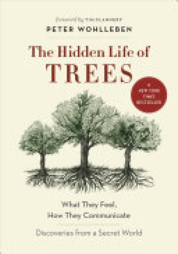 Hidden Life of Trees,The: What They Feel