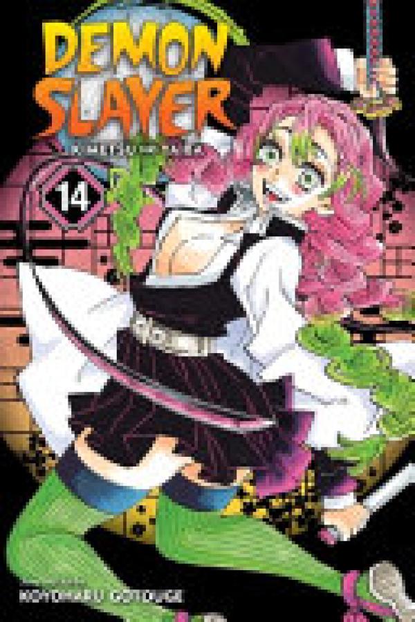 Demon Slayer: Kimetsu No Yaiba, Vol 14