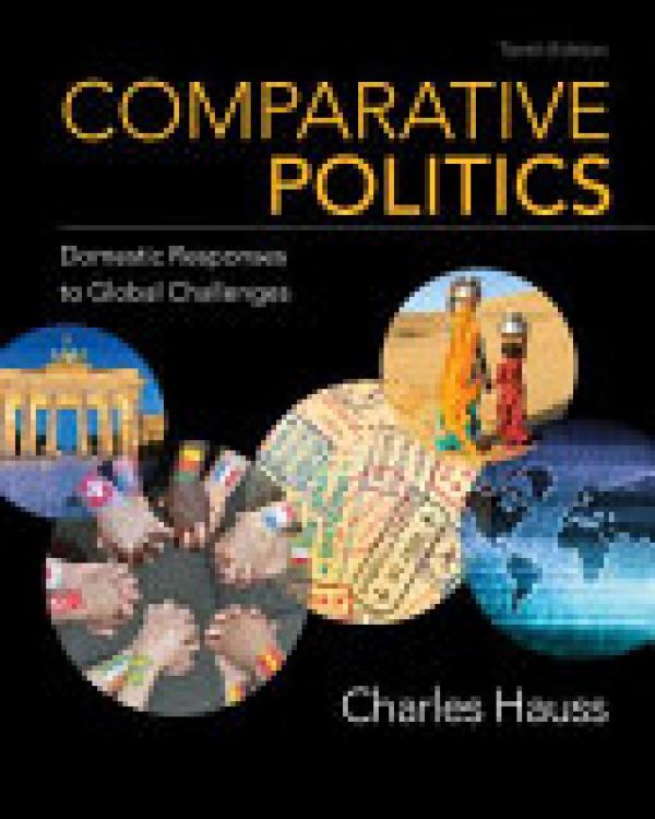 Comparative Politics: Domestic Responses
