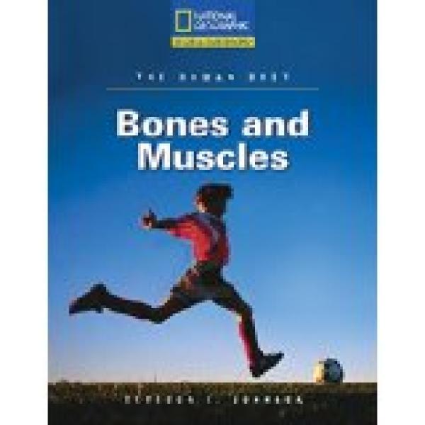 Bones and Muscles