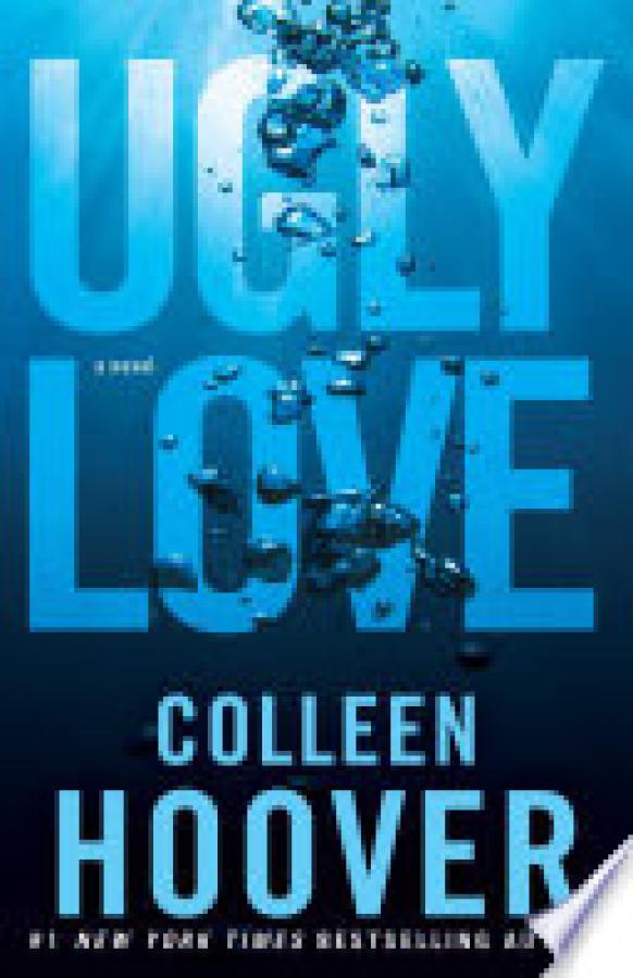 Ugly Love: A Novel