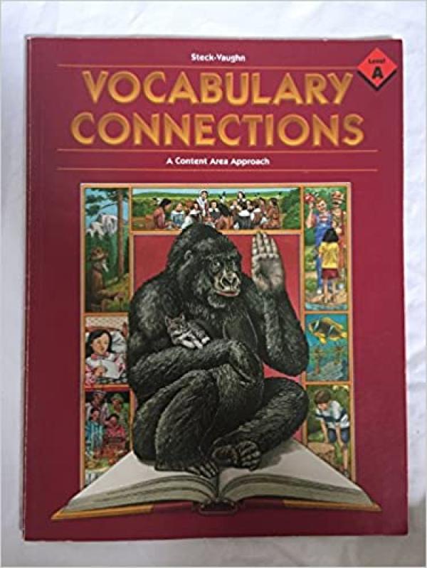 Vocabulary Connections A