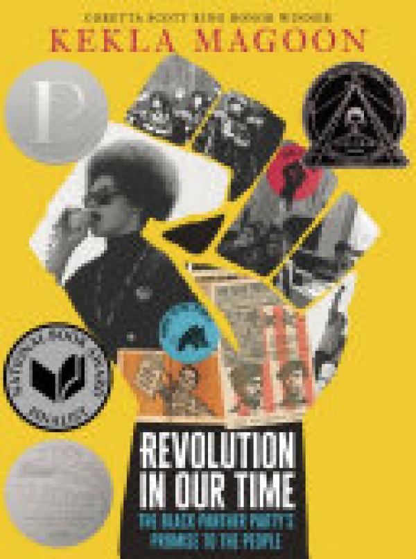 Revolution in Our Time: The Black Panthe