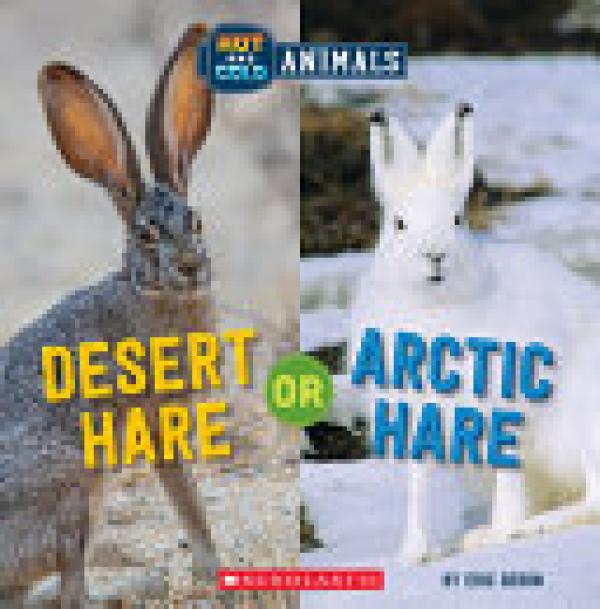 Desert Hare Or Arctic Hare (Hot and Cold
