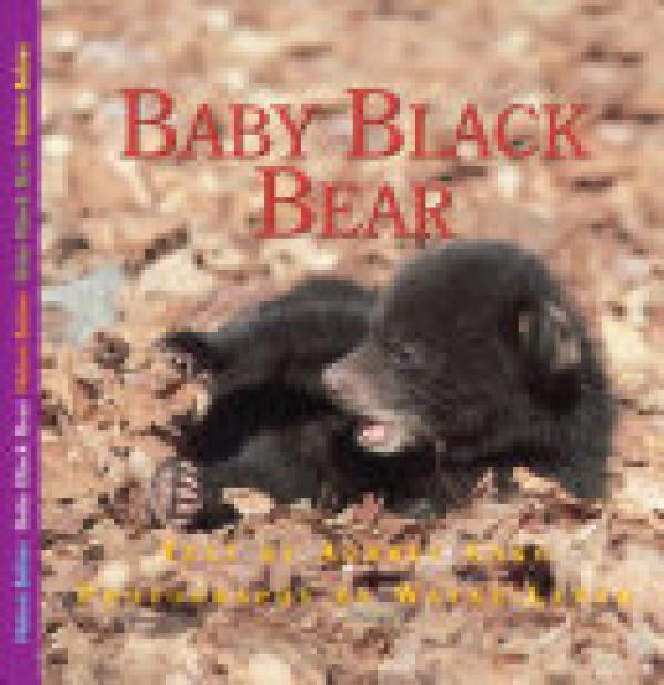 Adventures of Baby Bear,The