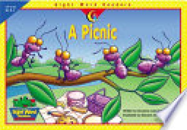 A Picnic, Sight Word Readers (LVL B)