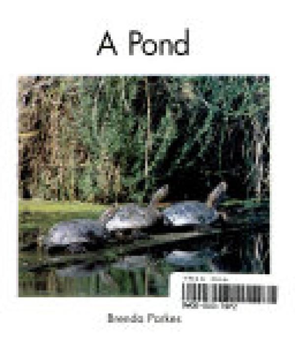 A Pond