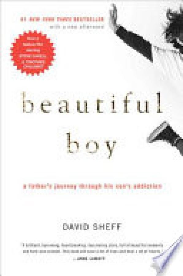 Beautiful Boy: A Father's Journey Throug