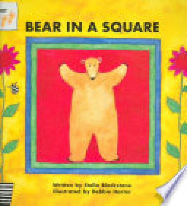 Bear in a Square