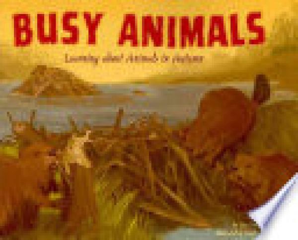 Busy Animals: Learning About Animals in