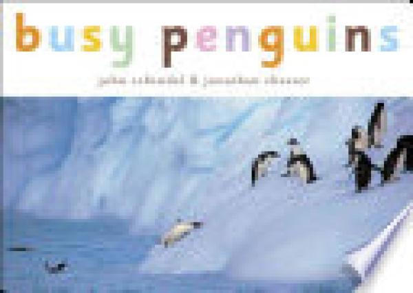 Busy Penguins