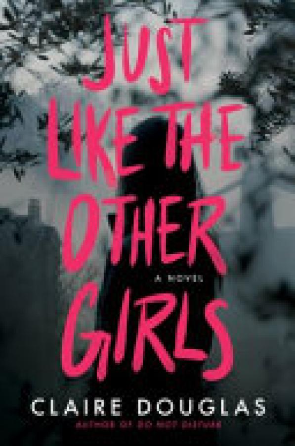 Just Like the Other Girls: A Novel