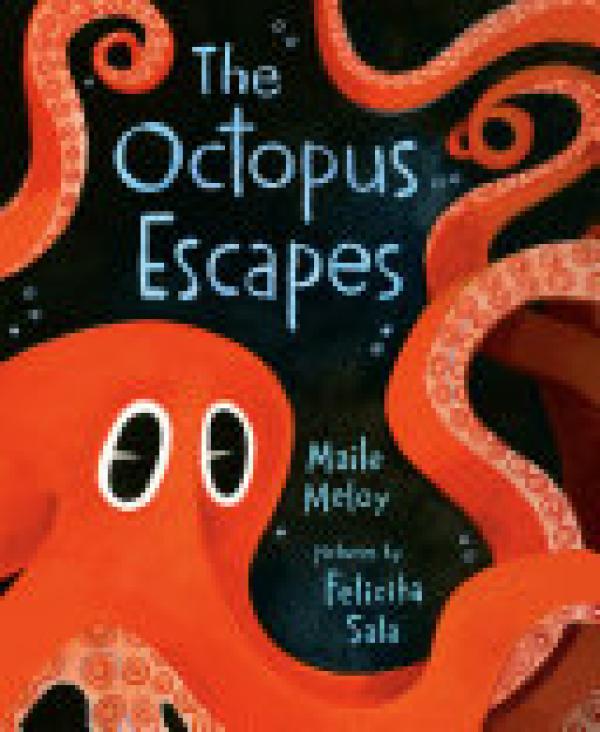 Octopus Escapes,The