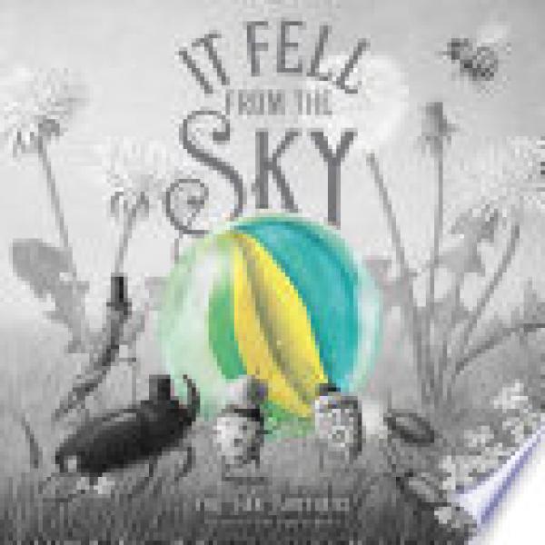 It Fell from the Sky