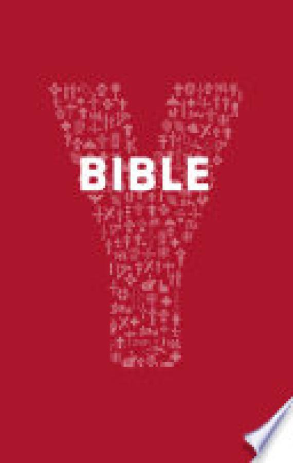 Youcat Bible