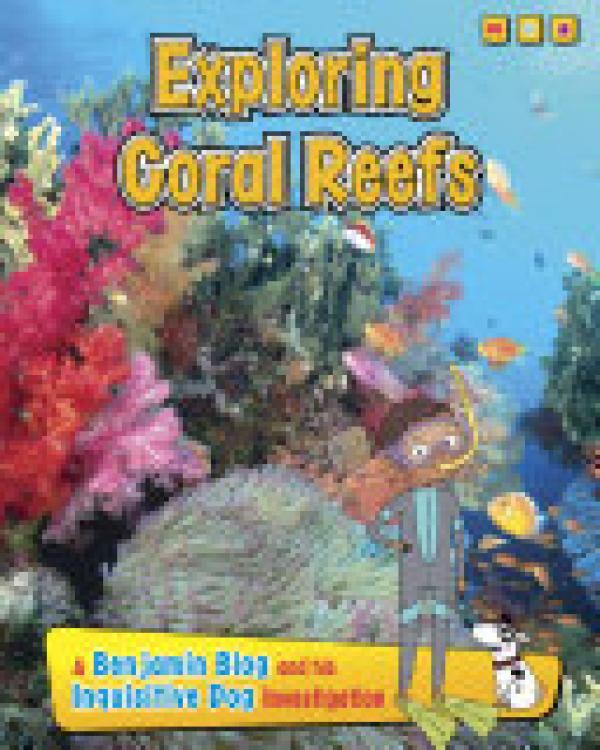 Exploring Coral Reefs: A Benjamin Blog a