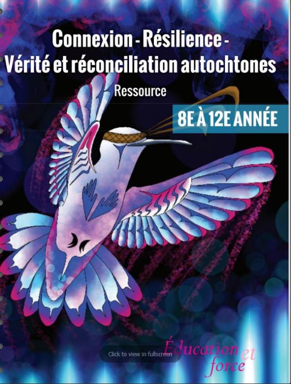 CRITR Grade 8-12 Workbook (French)