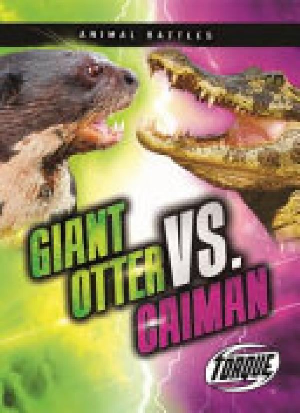 Giant Otter VS Caiman
