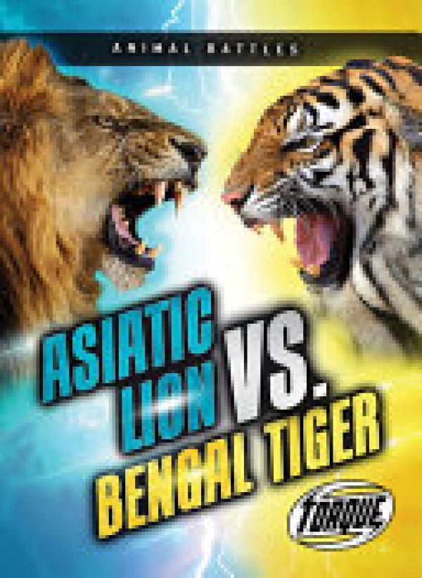 Asiatic Lion VS Bengal Tiger