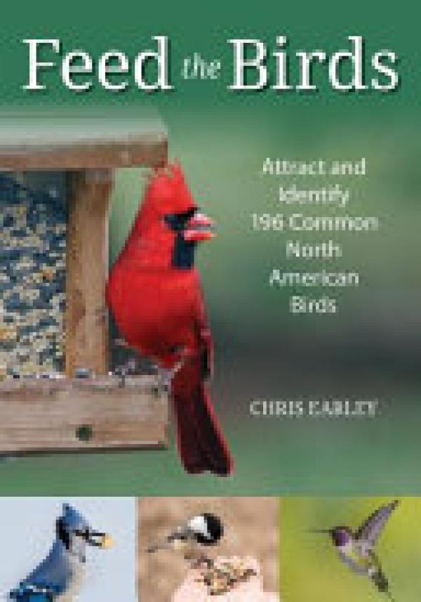 Feed the Birds: Attract and Identify 196