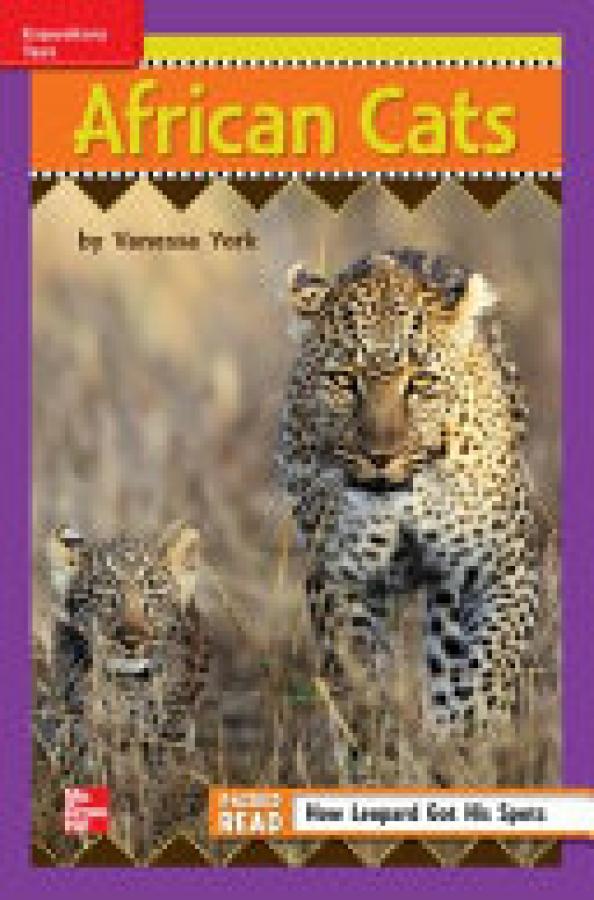 Reading Wonders Leveled Reader African C