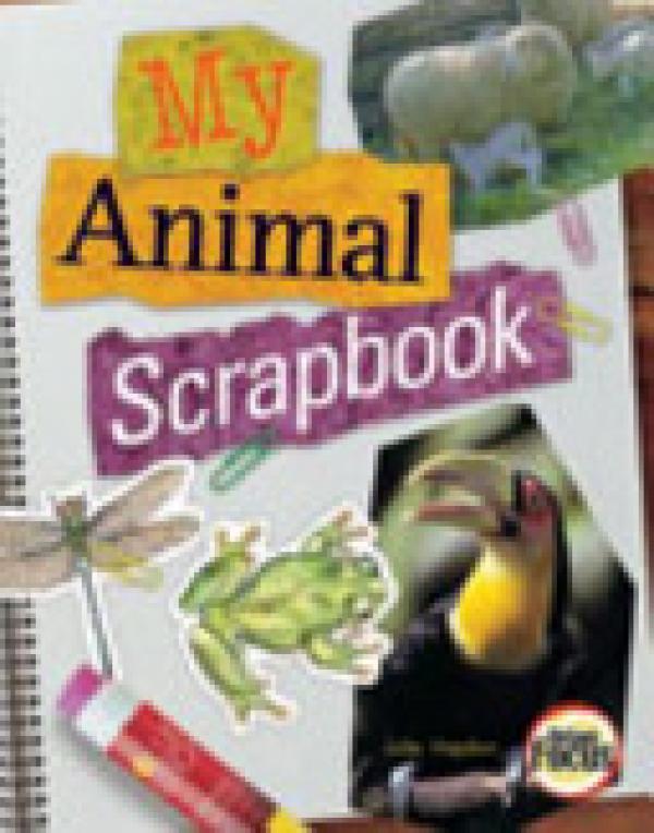 Nelson Focus: My Animal Scrapbook (Lap B