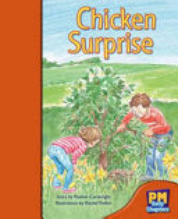 Chicken Surprise