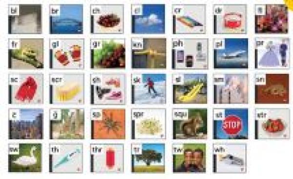 PM Alphabet Blends & Digraphs Single Cpy