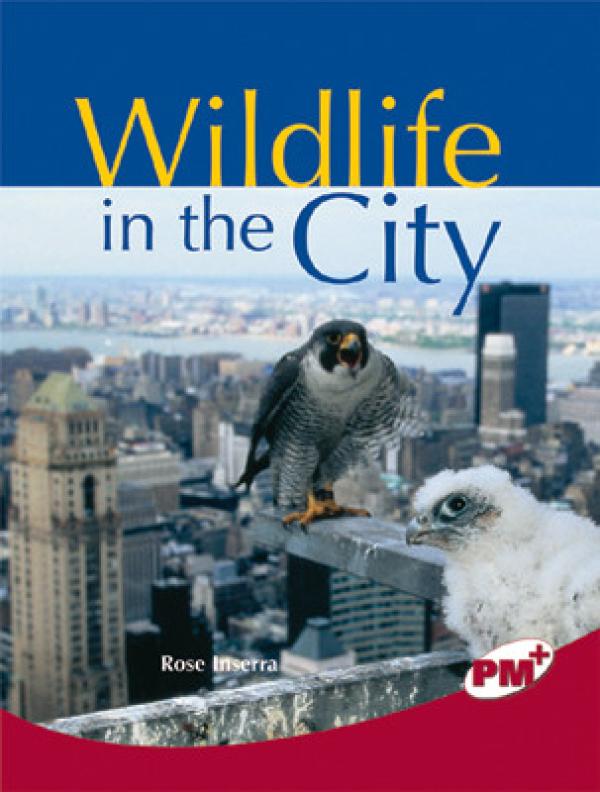 Wildlife in the City (LVL 28 Nonfict)