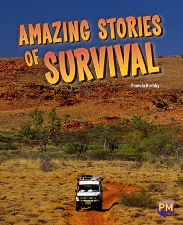Amazing Stories of Survival (LVL 28)