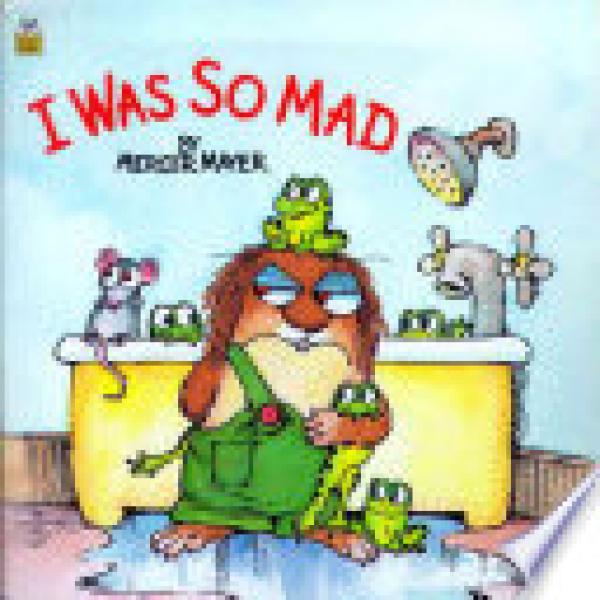 I Was So Mad (Little Critter)