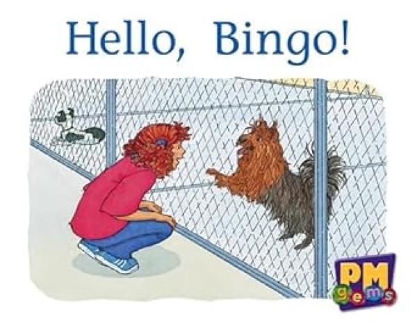 Hello, Bingo! (Level 2-3)