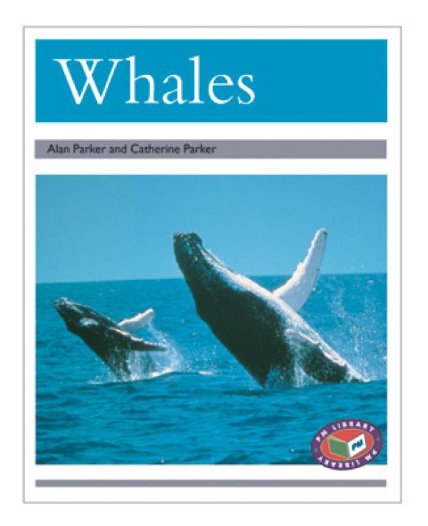 Whales (LVL 24 Animal Facts)