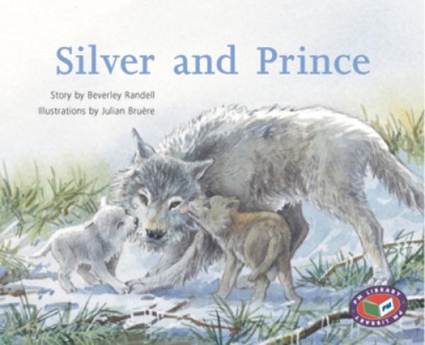 Silver and Prince (LVL 24 Fiction)