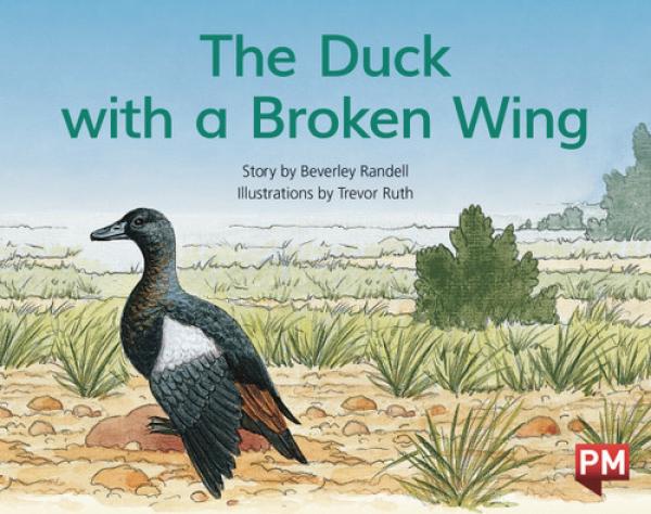 The Duck with a Broken Wing (LVL 9)