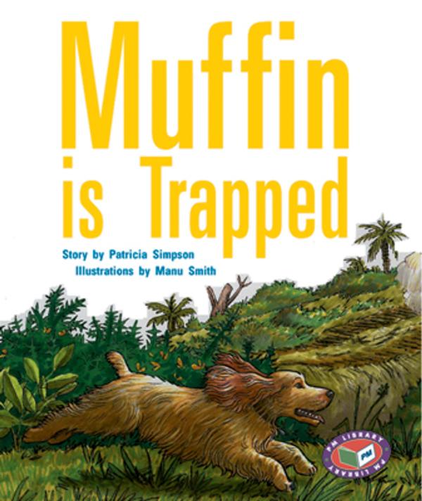 Muffin is Trapped (LVL 20 Fiction)