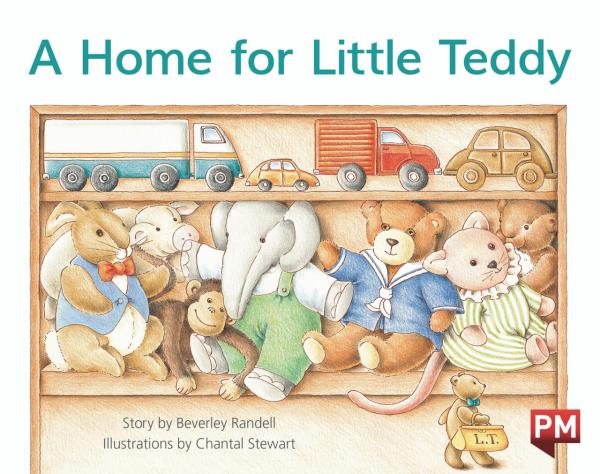 A Home for Little Teddy (LVL 5)