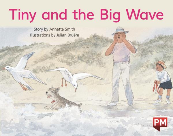 Tiny and the Big Wave (LVL 8)