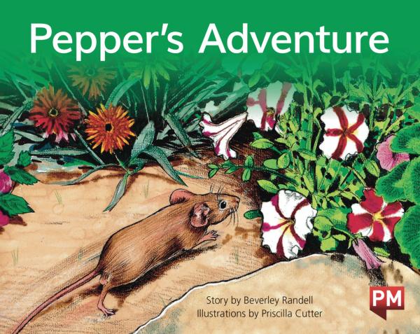 Pepper's Adventure (LVL 14)