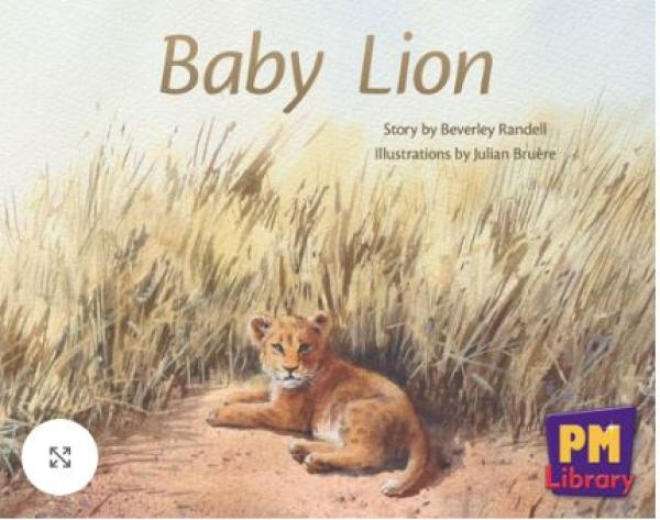Baby Lion (LVL 4 Nar)
