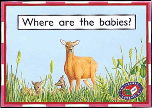 Where Are the Babies (Level 2)