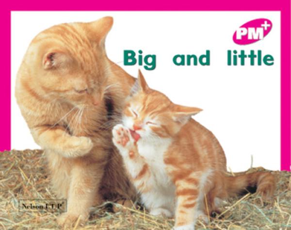 Big and Little (Level 2)