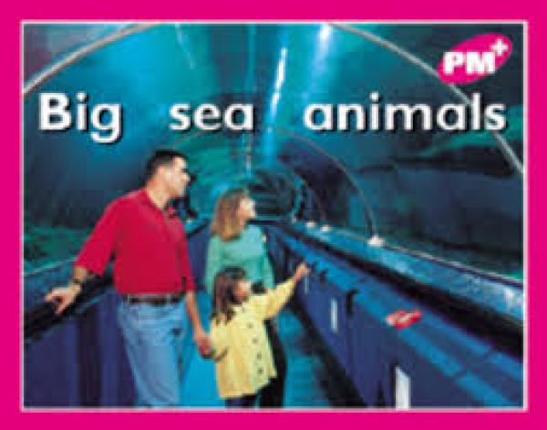 Big Sea Animals (Level 2)